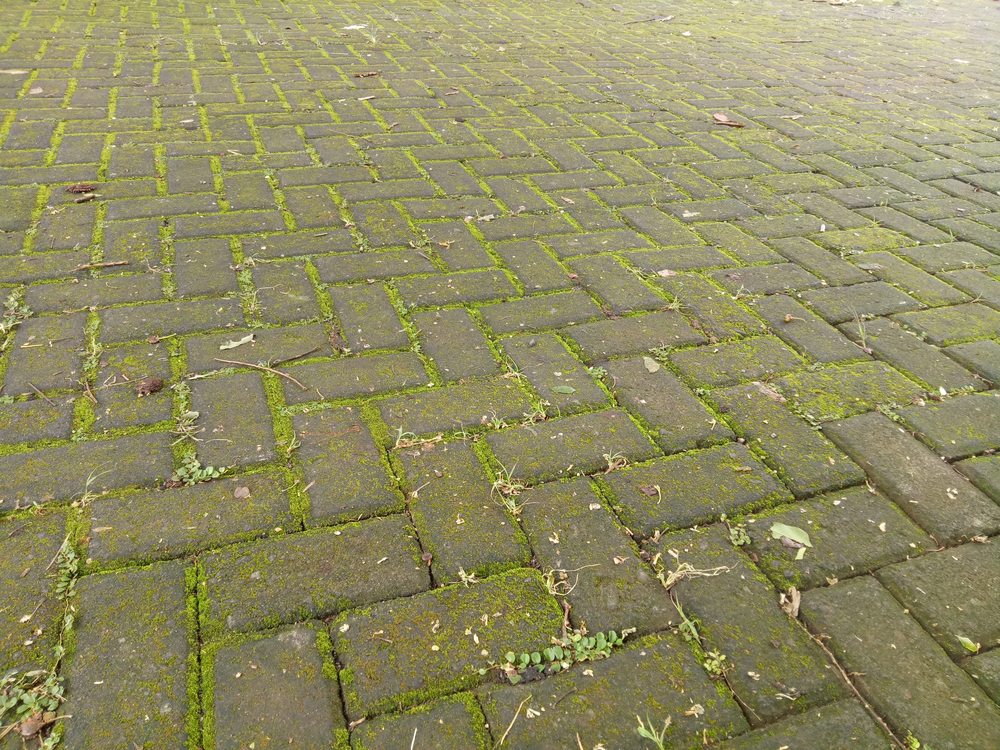 slippery driveway