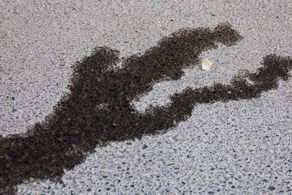 oil stain on a concrete driveway before pressure wash